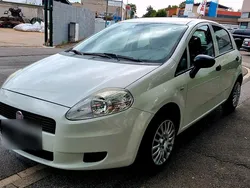 Weiß Gebraucht 2011 Fiat Punto Kleinwagen | 1.699 € (Guter Preis)