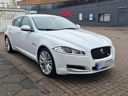 Weiß Gebraucht 2015 Jaguar XF Limousine | 13.000 € (Fairer Preis)
