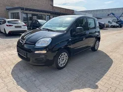 Schwarz Gebraucht 2019 Fiat Panda Easy Kleinwagen | 4.999 € (Fairer Preis)