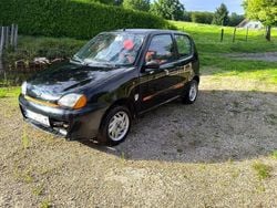 Schwarz Gebraucht 2000 Fiat Seicento Kleinwagen | 950 € (Guter Preis)