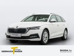 Candyweiss Gebraucht 2022 Skoda Octavia Ambition Kombi | 21.340 € (Guter Preis)