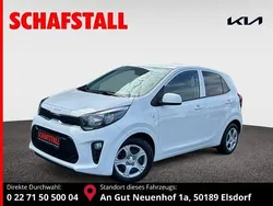 Weiss ((ud) schneeweiss) Gebraucht 2024 Kia Picanto Vision Kleinwagen | 15.379 € (Fairer Preis)