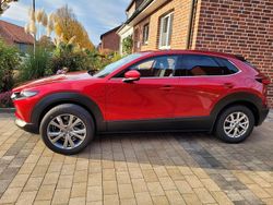 Rot Gebraucht 2025 Mazda CX-30 Takumi-Line SUV | 29.700 €