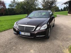 Braun Gebraucht 2010 Mercedes E250 Avantgarde Kombi | 10.500 € (Teuer)