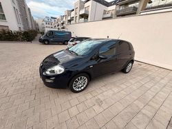 Blau Gebraucht 2013 Fiat Punto Kleinwagen | 3.900 € (Fairer Preis)