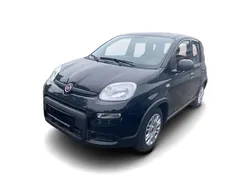 Schwarz Gebraucht 2024 Fiat Panda Kleinwagen | 15.249 € (Teuer)