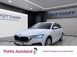 Weiss Gebraucht 2023 Skoda Octavia Style Kombi | 26.977 € (Guter Preis)