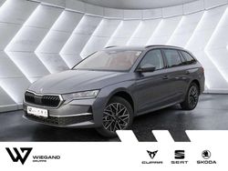 Grau (grau / graphitgrau) Neu 2025 Skoda Octavia Tour Kombi | 37.690 € (Etwas zu teuer)