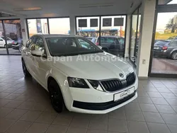 Weiß Gebraucht 2017 Skoda Octavia Active Limousine | 11.500 € (Fairer Preis)