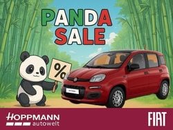 Passione rot / schwarzes dach Neu 2025 Fiat Panda Icon Kleinwagen | 15.180 € (Fairer Preis)