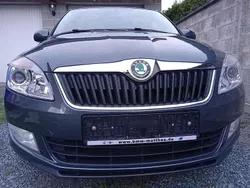 Grau Gebraucht 2011 Skoda Fabia Family Limousine | 2.699 € (Superpreis)