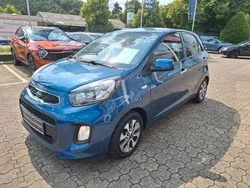 Blau Gebraucht 2016 Kia Picanto DREAM-TEAM Edition Kleinwagen | 5.690 € (Fairer Preis)