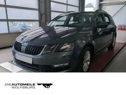 Grau Gebraucht 2020 Skoda Octavia Ambition Kombi | 17.490 € (Guter Preis)