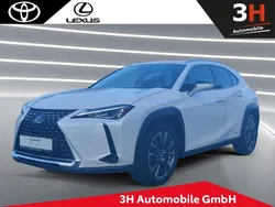 Weiß Gebraucht 2020 Lexus UX 250h SUV | 23.990 € (Fairer Preis)