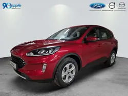 Rot Gebraucht 2024 Ford Kuga Cool & Connect SUV | 26.990 € (Guter Preis)