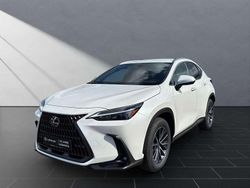 Titaniumweiß Neu 2025 Lexus NX350h SUV | 49.950 € (Guter Preis)