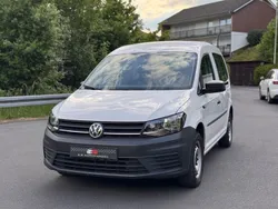 Weiß Gebraucht 2020 VW Caddy Van / Kleinbus | 14.490 € (Superpreis)
