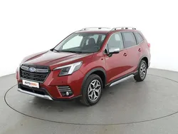 Rot Gebraucht 2023 Subaru Forester SUV | 31.590 € (Fairer Preis)