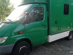Grün Gebraucht 2003 Mercedes Sprinter Van | 12.900 €
