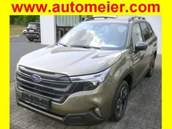 Grün Gebraucht 2025 Subaru Forester Exclusive+ SUV | 43.490 € (Fairer Preis)