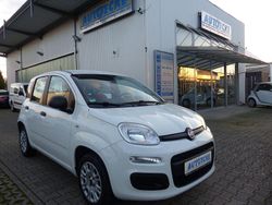Weiß Gebraucht 2020 Fiat Panda Easy Kleinwagen | 8.990 € (Fairer Preis)