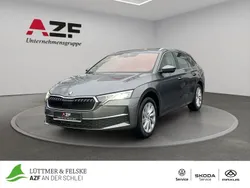 Grau Gebraucht 2024 Skoda Octavia Selection Kombi | 29.990 € (Superpreis)