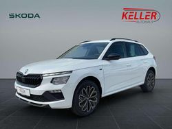 Moonweiss metallic Neu 2025 Skoda Kamiq Tour SUV | 30.700 € (Etwas zu teuer)