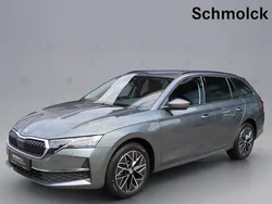 Grau Gebraucht 2024 Skoda Octavia Style Kombi | 31.990 € (Guter Preis)