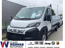Weiß Neu 2025 Fiat Ducato Van | 33.990 € (Fairer Preis)