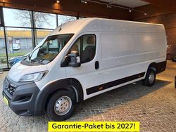 Weiss Gebraucht 2024 Opel Movano | 27.480 € (Superpreis)