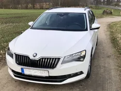 Weiß Gebraucht 2019 Skoda Superb Ambition Kombi | 16.500 € (Fairer Preis)