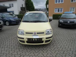 Gelb Gebraucht 2010 Fiat Panda Dynamic Kleinwagen | 6.990 €