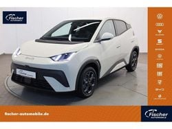Weiß Gebraucht 2025 BYD Dolphin Surf Comfort Kleinwagen | 22.880 € (Guter Preis)