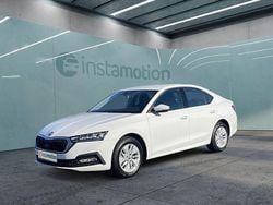 Weiß Gebraucht 2024 Skoda Octavia Ambition Limousine | 25.593 € (Superpreis)