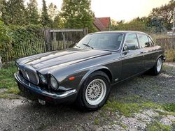 Grau Gebraucht 1985 Jaguar XJ Limousine | 9.450 €