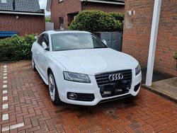 Weiß Gebraucht 2011 Audi A5 Sportback S-Line Kleinwagen | 11.000 € (Fairer Preis)