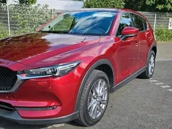 Rot Gebraucht 2019 Mazda CX-5 SUV | 23.790 € (Fairer Preis)