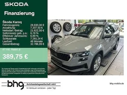 Grau Gebraucht 2024 Skoda Karoq Selection SUV | 28.830 € (Guter Preis)