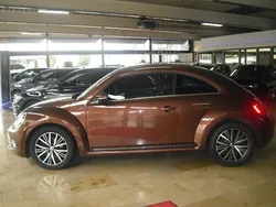 VW Beetle