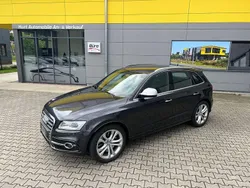 Grau Gebraucht 2016 Audi SQ5 Sport SUV | 29.990 € (Etwas zu teuer)
