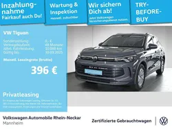 Delfingrau metallic Gebraucht 2024 VW Tiguan Basis SUV | 32.999 € (Guter Preis)