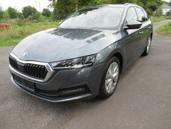 Grau Gebraucht 2021 Skoda Octavia First Edition Kombi | 18.499 € (Fairer Preis)