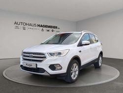 Frost weiß Gebraucht 2019 Ford Kuga Titanium SUV | 15.950 € (Fairer Preis)