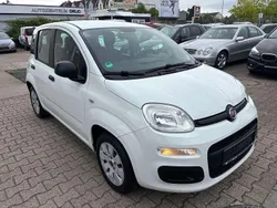 Colore esterno (weiss) Gebraucht 2014 Fiat Panda Pop Kleinwagen | 3.900 € (Fairer Preis)