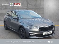 Grau Gebraucht 2024 Skoda Fabia Drive Kleinwagen | 20.990 € (Etwas zu teuer)