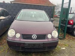 Rot Gebraucht 2002 VW Polo Basis Limousine | 1.250 € (Fairer Preis)