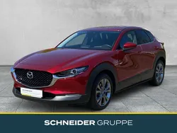 Soul red crystal m Gebraucht 2020 Mazda CX-30 SUV | 21.890 € (Fairer Preis)