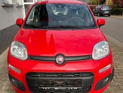Rot Gebraucht 2017 Fiat Panda Lounge Kleinwagen | 8.500 € (Superpreis)