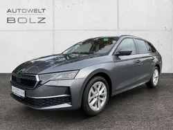 Grau Gebraucht 2024 Skoda Octavia Selection Kombi | 30.990 € (Superpreis)