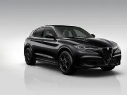 Schwarz Neu 2025 Alfa Romeo Stelvio Quadrifoglio SUV | 95.990 €